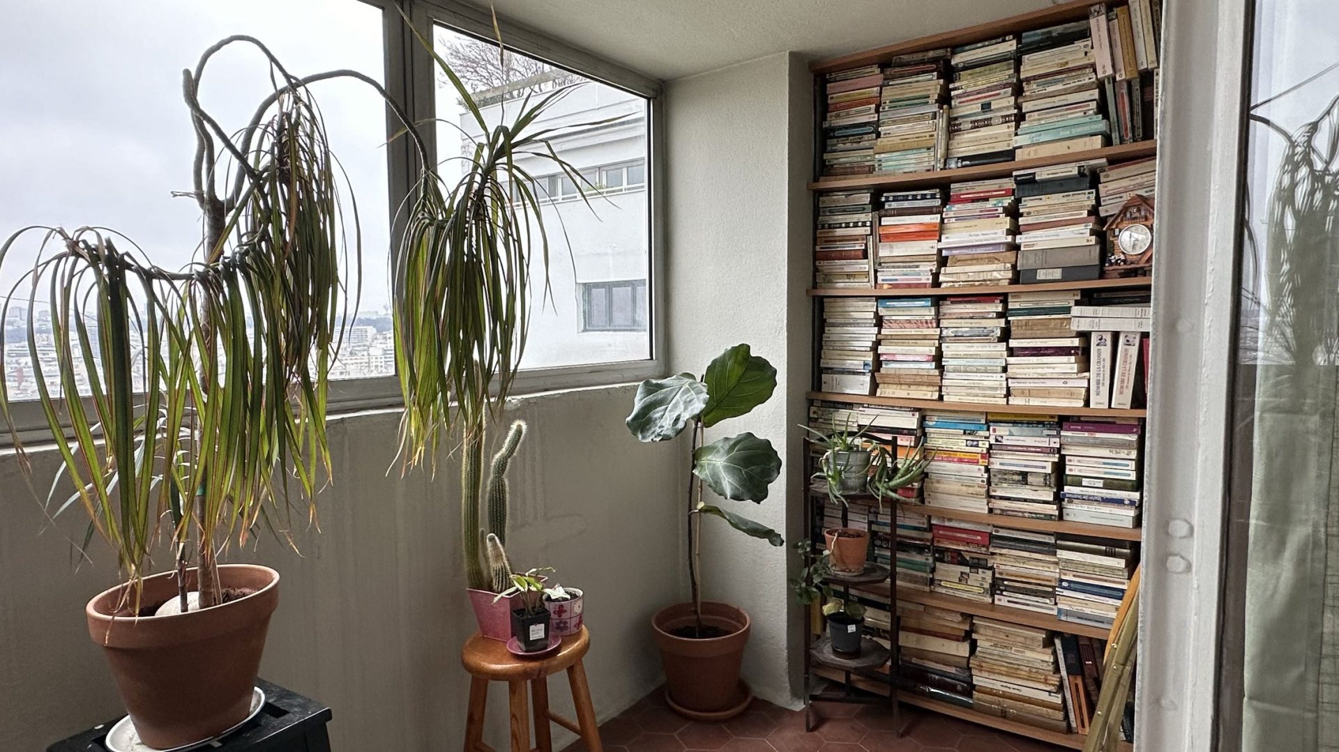 微信图片_20231218221150