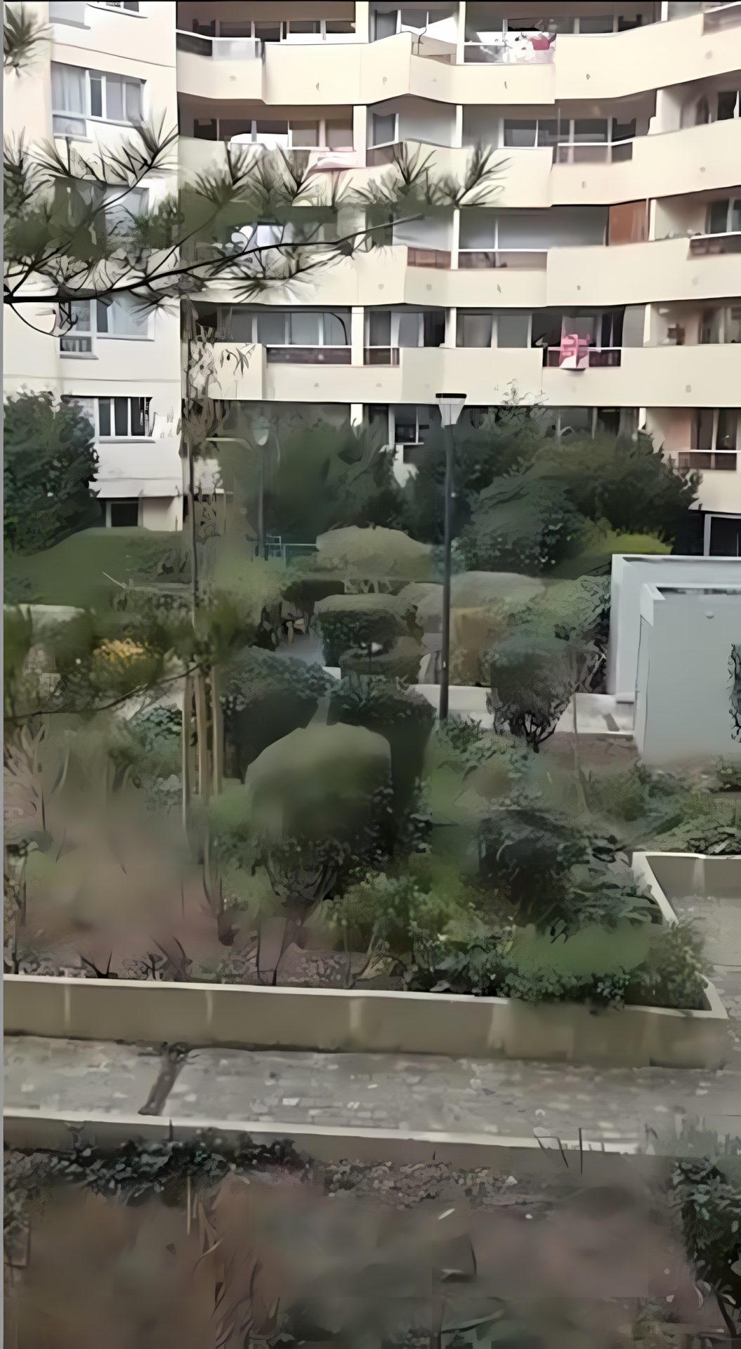 Capture d’écran 2024-07-10 à 08.07.09