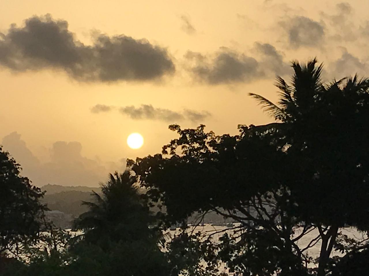 WhatsApp Image 2025-07-23 at 13.07.11 (4)