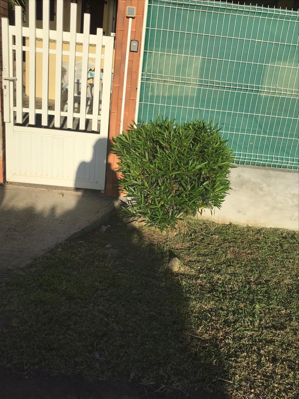 WhatsApp Image 2025-07-23 at 13.07.11 (6)